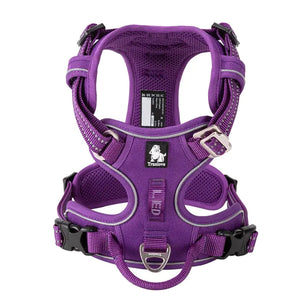 Truelove Pet Harness